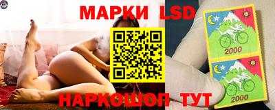 гидра Кандалакша