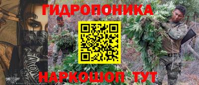 гидра Кандалакша
