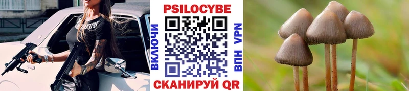 Галлюциногенные грибы прущие грибы  сайты даркнета состав  Краснознаменск 