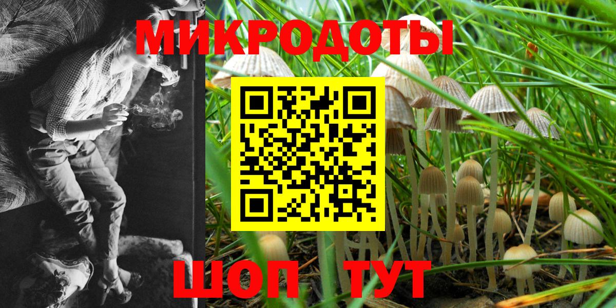 продажа наркотиков  Вход с VPN  Краснознаменск  Псилоцибиновые грибы Cubensis 
